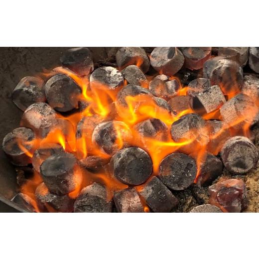 CASUS Bambuskohle Briquettes