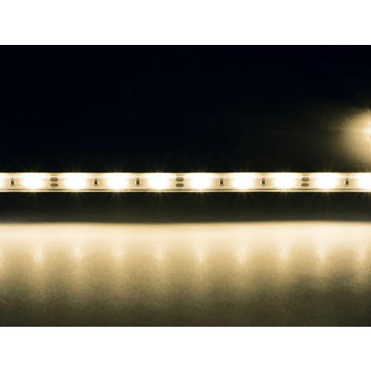 LED Streifen 12 V, IP67, 4,8W/m, 3000K, 60LEDs/m, 5 m